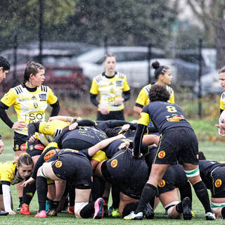 10/12/2023 - Federale 2 - Stade Rochelais 53 / 6 La Couronne