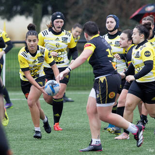 10/12/2023 - Federale 2 - Stade Rochelais 53 / 6 La Couronne