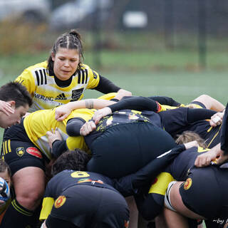 10/12/2023 - Federale 2 - Stade Rochelais 53 / 6 La Couronne