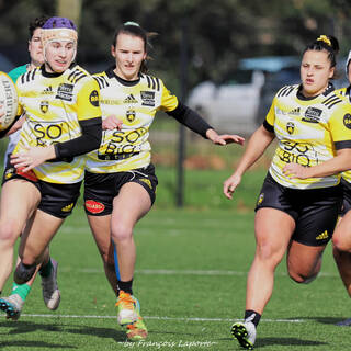 11/02/2024 - Elite 2 - Stade Rochelais 27 / 00 Clermont La Plaine