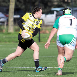 11/02/2024 - Elite 2 - Stade Rochelais 27 / 00 Clermont La Plaine