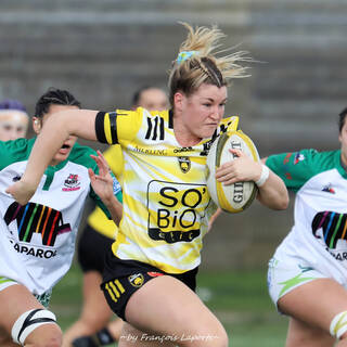 11/02/2024 - Elite 2 - Stade Rochelais 27 / 00 Clermont La Plaine