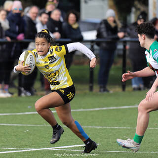 11/02/2024 - Elite 2 - Stade Rochelais 27 / 00 Clermont La Plaine