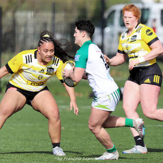 11/02/2024 - Elite 2 - Stade Rochelais 27 / 00 Clermont La Plaine