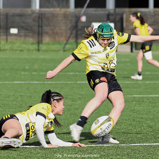 11/02/2024 - Elite 2 - Stade Rochelais 27 / 00 Clermont La Plaine