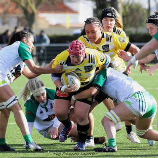 11/02/2024 - Elite 2 - Stade Rochelais 27 / 00 Clermont La Plaine