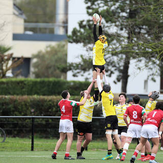 11/03/2023 - Cadets Alamercery - Stade Rochelais 17 / 17 Biarritz Olympique Rugby