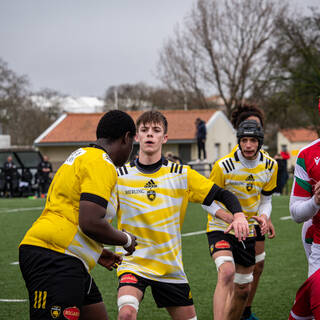 11/03/2023 - Cadets Alamercery - Stade Rochelais 17 / 17 Biarritz Olympique Rugby