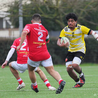 11/03/2023 - Crabos - Stade Rochelais 8 / 11 Biarritz Olympique Rugby