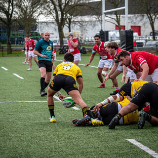 11/03/2023 - Crabos - Stade Rochelais 8 / 11 Biarritz Olympique Rugby