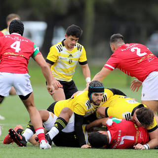 11/03/2023 - Crabos - Stade Rochelais 8 / 11 Biarritz Olympique Rugby