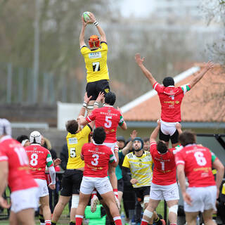 11/03/2023 - Crabos - Stade Rochelais 8 / 11 Biarritz Olympique Rugby