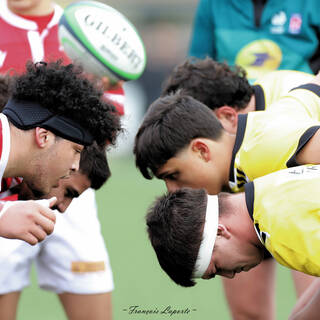 11/03/2023 - Crabos - Stade Rochelais 8 / 11 Biarritz Olympique Rugby