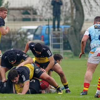 12/01/2019 - Espoirs - J12 - Stade Rochelais 24 / 16 USAP