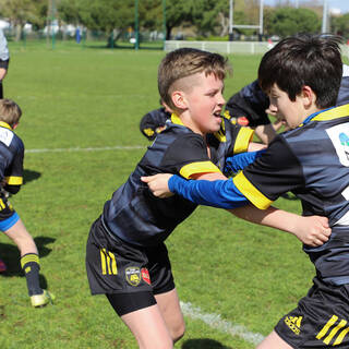 12/03/2022 - Tournoi U141 - Stade Rochelais / Agen / Limoges