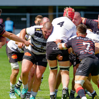 12/05/2019 - Espoirs - Finale - Stade Rochelais 14 / 26 Toulon