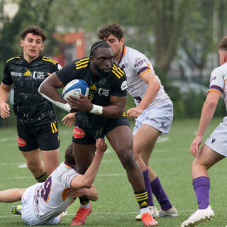 12/05/2024 - Espoirs - Stade Rochelais 60 / 05 SA XV