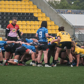 12/11/2023 - Elite 2 - Stade Rochelais 20 / 10 Valkyries