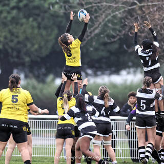 12/11/2023 - Federale 2 - Stade Rochelais 48 / 0 Poitiers