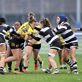 12/11/2023 - Federale 2 - Stade Rochelais 48 / 0 Poitiers