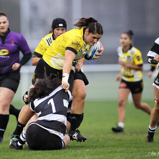 12/11/2023 - Federale 2 - Stade Rochelais 48 / 0 Poitiers