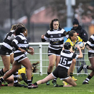 12/11/2023 - Federale 2 - Stade Rochelais 48 / 0 Poitiers