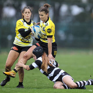 12/11/2023 - Federale 2 - Stade Rochelais 48 / 0 Poitiers