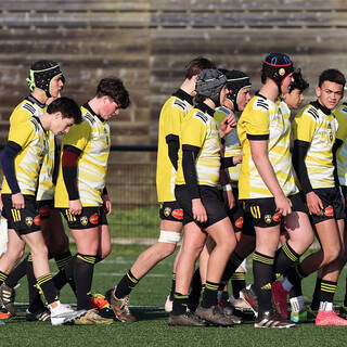 13/01/2024 - U15 - Stade Rochelais 43 / 19 RC Vannes