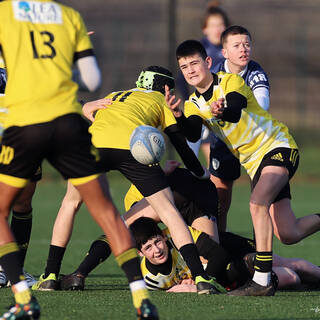 13/01/2024 - U15 - Stade Rochelais 43 / 19 RC Vannes