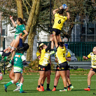 13/02/2022 - Élite 2 Féminine - Stade Rochelais 23 / 3 Clermont La Plaine