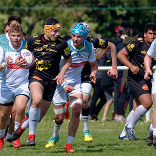 13/04/2019 - Cadets Alamercery - Stade Rochelais 26 / 25 Pau