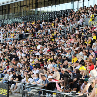 13/04/2024 - Espoirs - Stade Rochelais 41 / 34 SU Agen