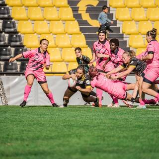 13/10/2024 - Élite 2 - Stade Rochelais 21 / 12 Pink Rockets