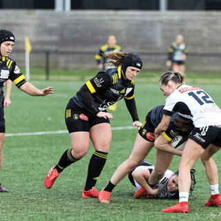 14/01/2024 - Federale 2 - Stade Rochelais 49 / 15 Brive