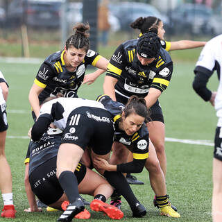 14/01/2024 - Federale 2 - Stade Rochelais 49 / 15 Brive