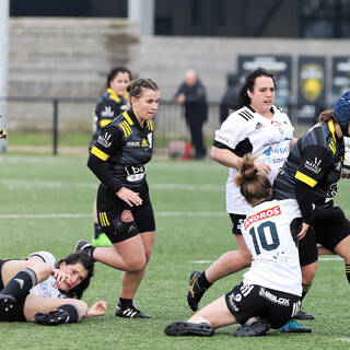 14/01/2024 - Federale 2 - Stade Rochelais 49 / 15 Brive