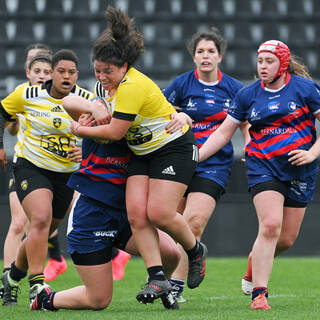 14/11/2021 - Féminines - Stade Rochelais 36 / 5 Limoges 