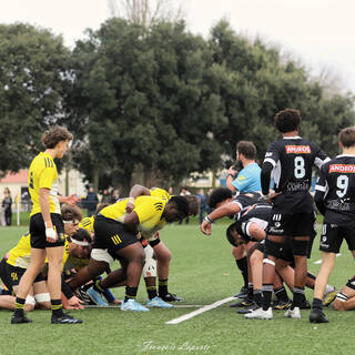 14/12/2024 - Crabos - Stade Rochelais 24 - 14 Brive