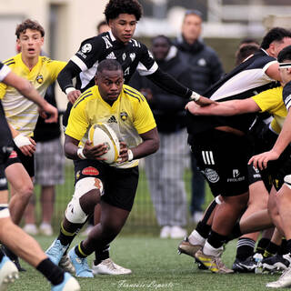 14/12/2024 - Crabos - Stade Rochelais 24 - 14 Brive