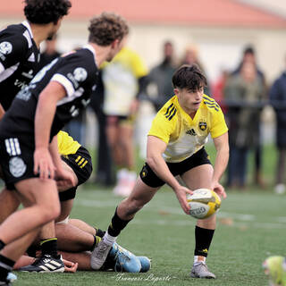 14/12/2024 - Crabos - Stade Rochelais 24 - 14 Brive