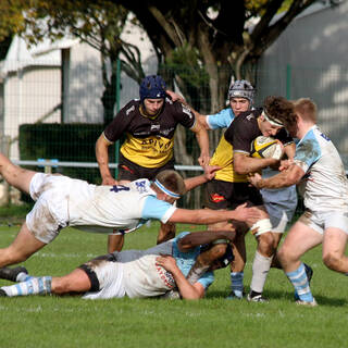 16/11/2019 - Crabos - J5 - Stade Rochelais 15 / 15 Bayonne