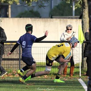 16/11/2024 - U16 - Stade Rochelais 35 / 19 RCV