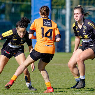 17/02/19 - POC'ettes - Stade Rochelais 26 / 10 Narbonne