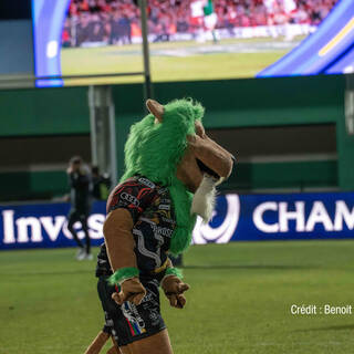 18/01/2025 - Champions Cup - Benetton Rugby 32 / 25 Stade Rochelais