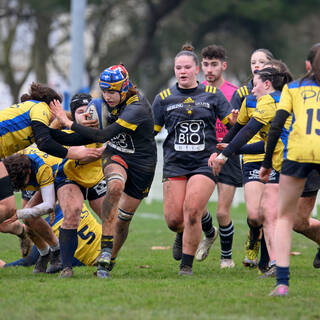 18/01/2025 - U18 Filles Accession - Stade Rochelais 29 / 7 Uson Nevers