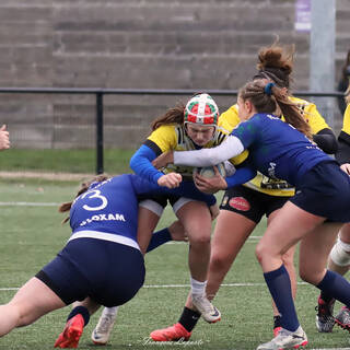 18/01/2025 - U18 Filles Élite - Stade Rochelais 16 / 12 Alliance Villeneuvoise