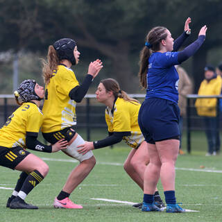 18/01/2025 - U18 Filles Élite - Stade Rochelais 16 / 12 Alliance Villeneuvoise