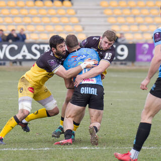 19/01/2019 - ERCC - J6 - Zebre 10 / 22 Stade Rochelais