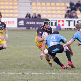 19/01/2019 - ERCC - J6 - Zebre 10 / 22 Stade Rochelais