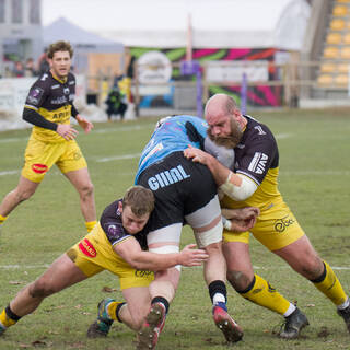 19/01/2019 - ERCC - J6 - Zebre 10 / 22 Stade Rochelais